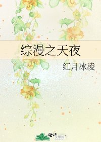 綜漫之天夜